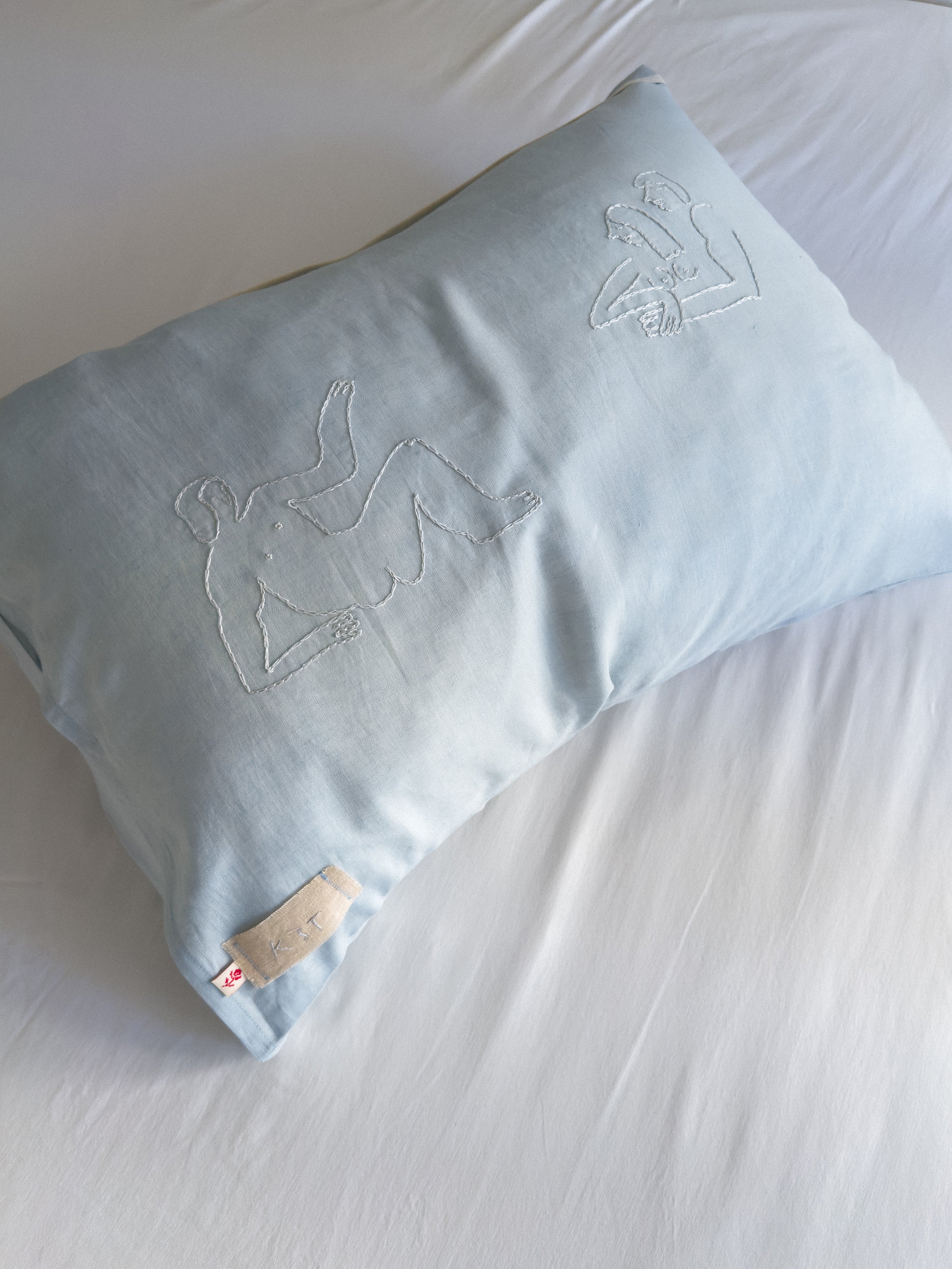 Pillow Cover The Silent Guest