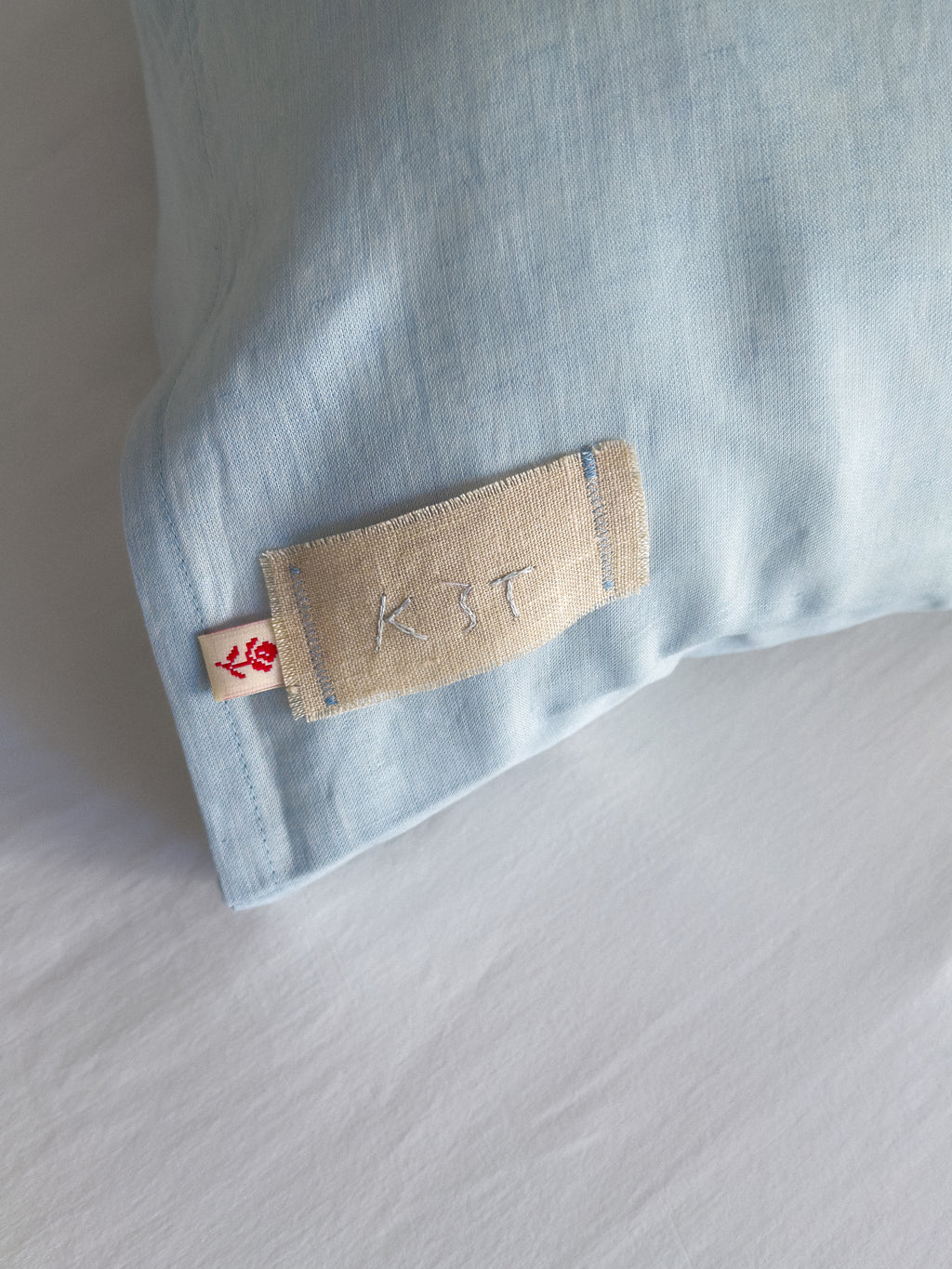 Pillow Cover The Silent Guest